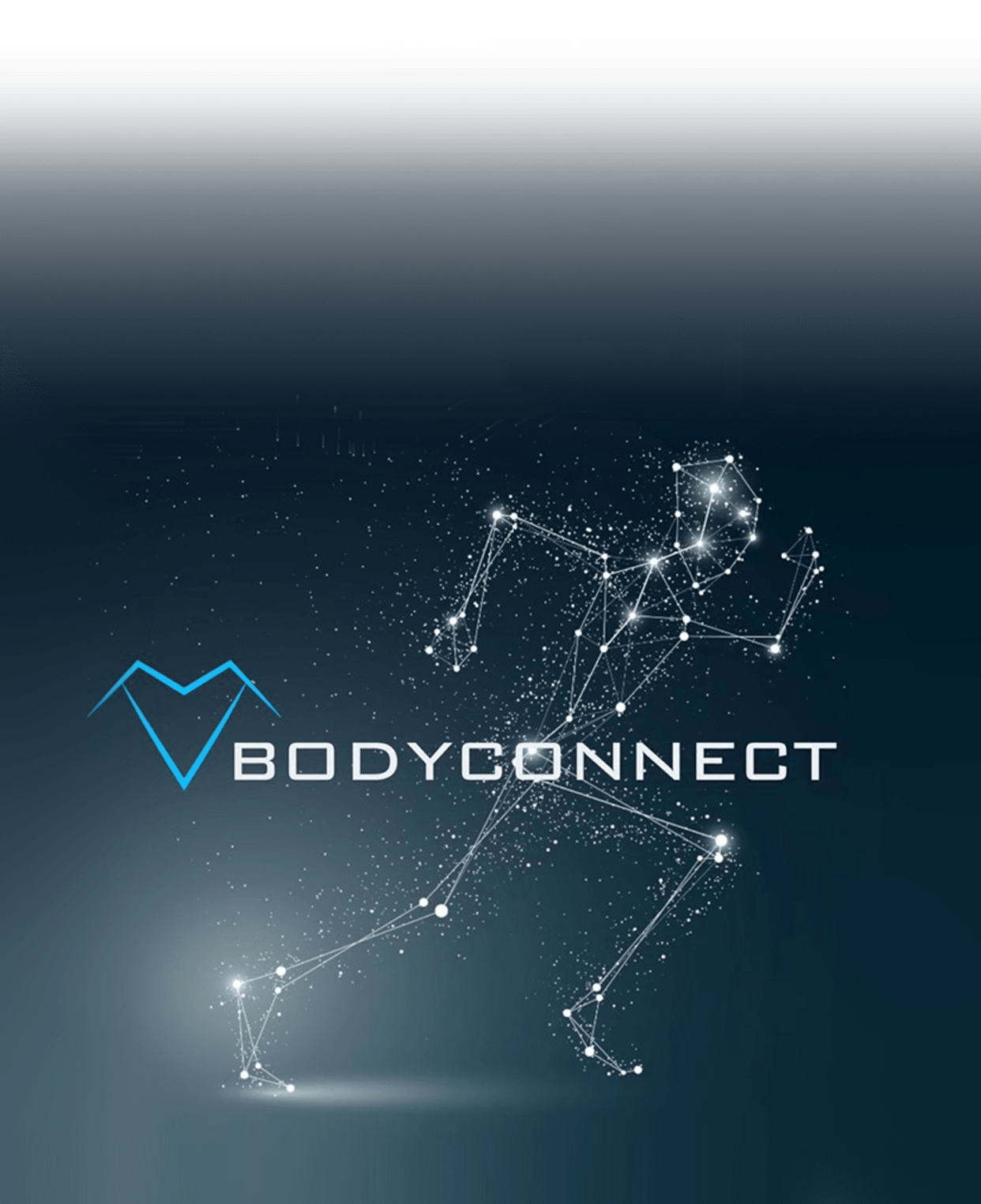 BodyConnect logo